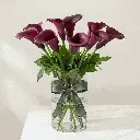 Calla Lilies red1.webp