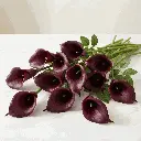 Calla Lilies red.webp