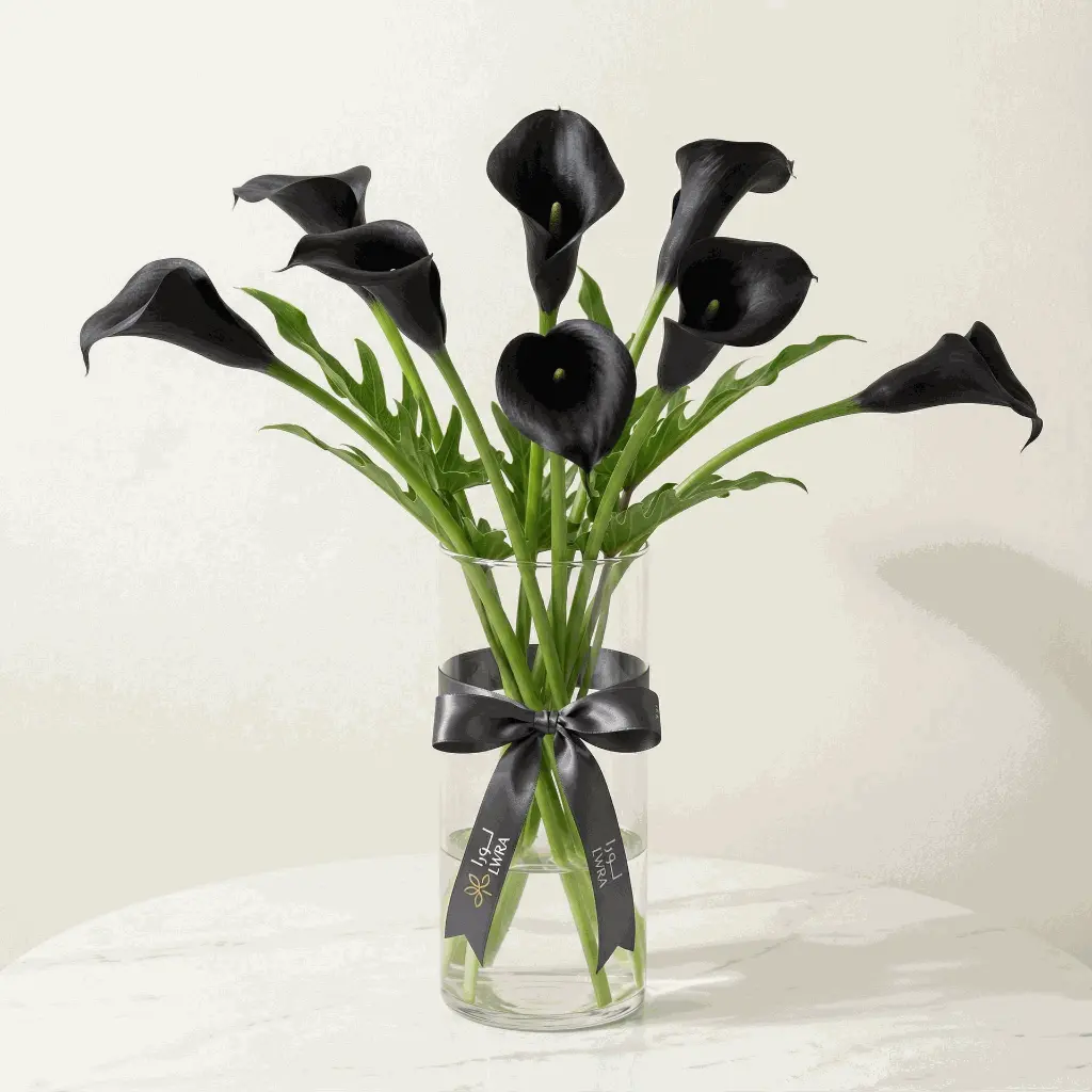 Calla Lilies black1.webp