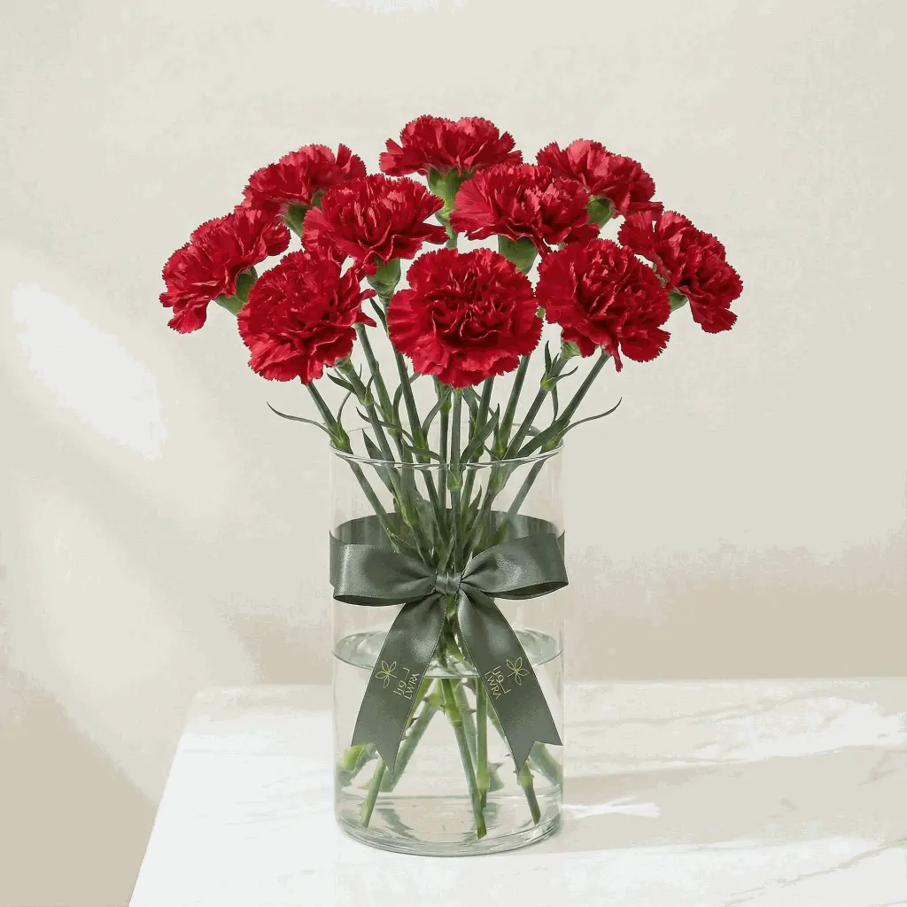CARNATION red2.webp
