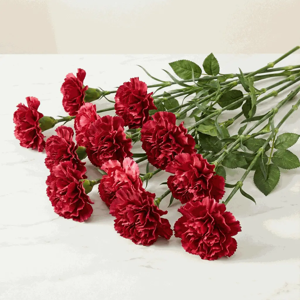 CARNATION red.webp