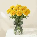CARNATION yellow1.webp
