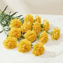 CARNATION yellow.webp