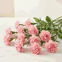CARNATION pink.webp