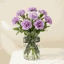 CARNATION violet1.webp