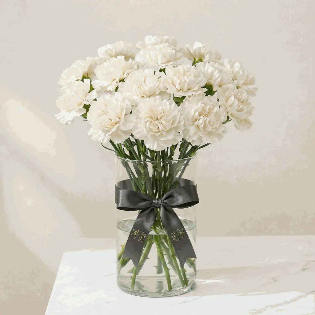 CARNATION off white1.webp