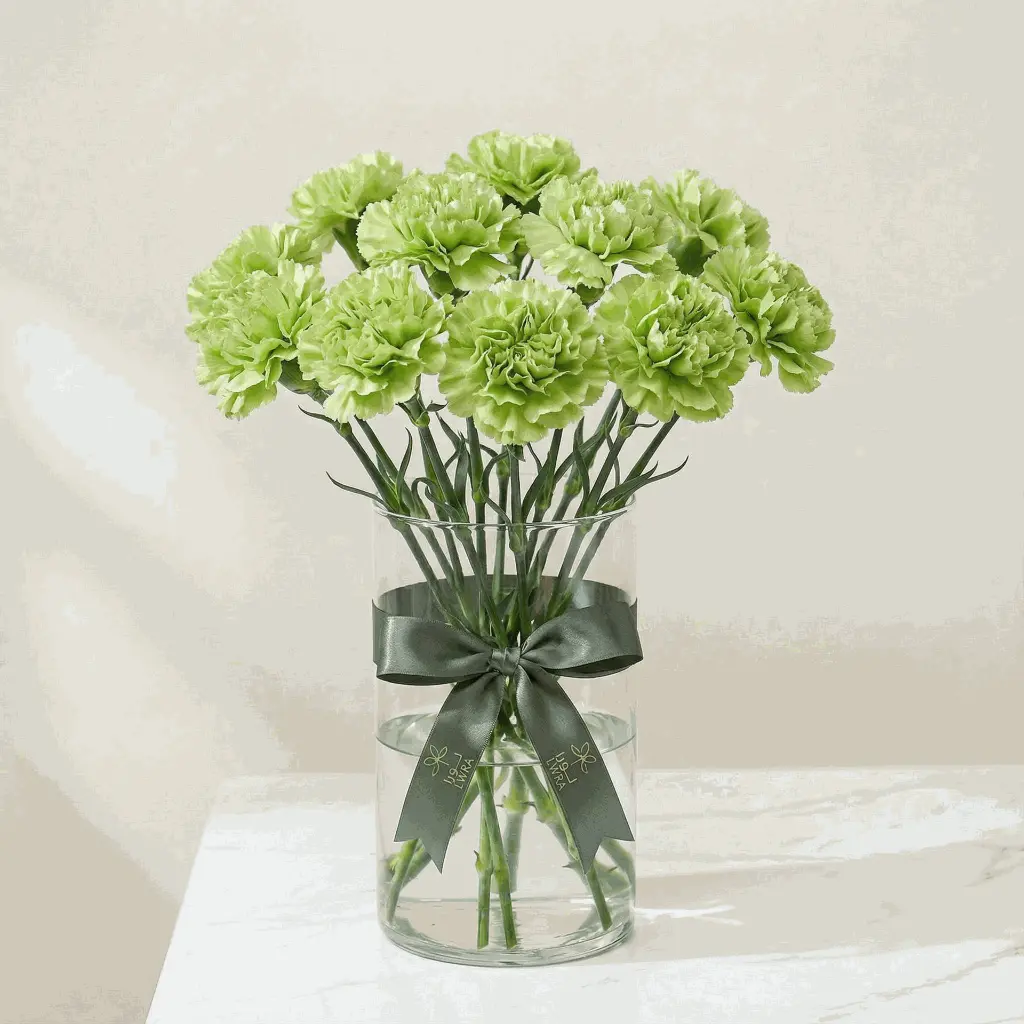 CARNATION green1.webp
