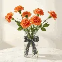 CARNATION orange1.webp