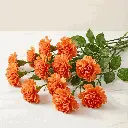 CARNATION orange.webp