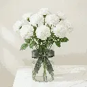 CARNATION white.webp