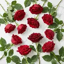 red_rose2.webp