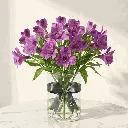 ALSTROMERIA_purple.webp