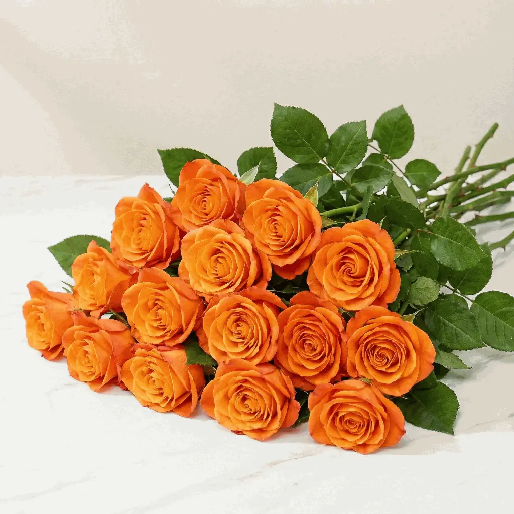 orange_rose2.webp