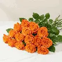 orange_rose2.webp