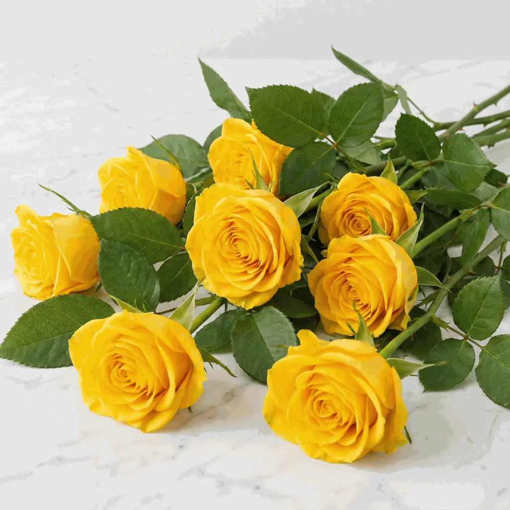 yellow_rose3.webp