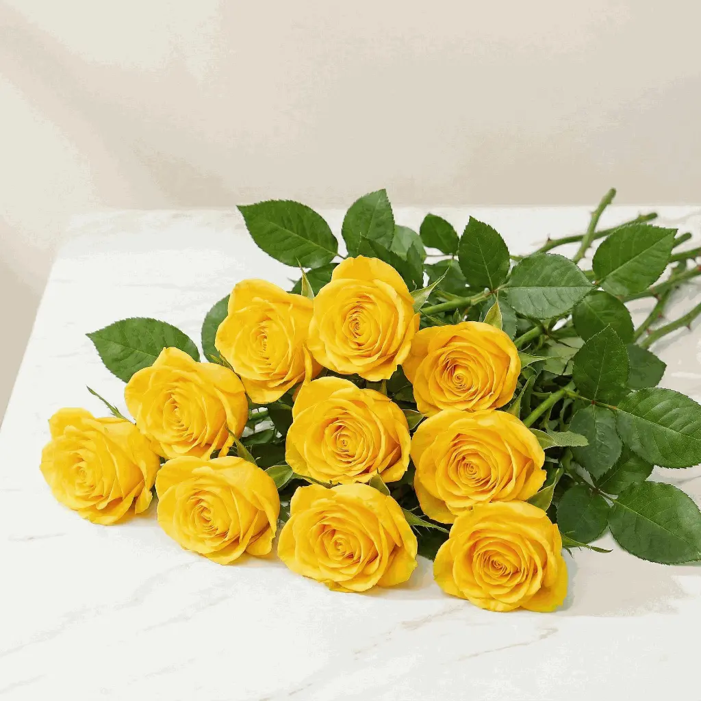 yellow_rose2.webp
