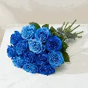 blue_rose.webp