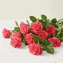 hot_pink_rose2.webp
