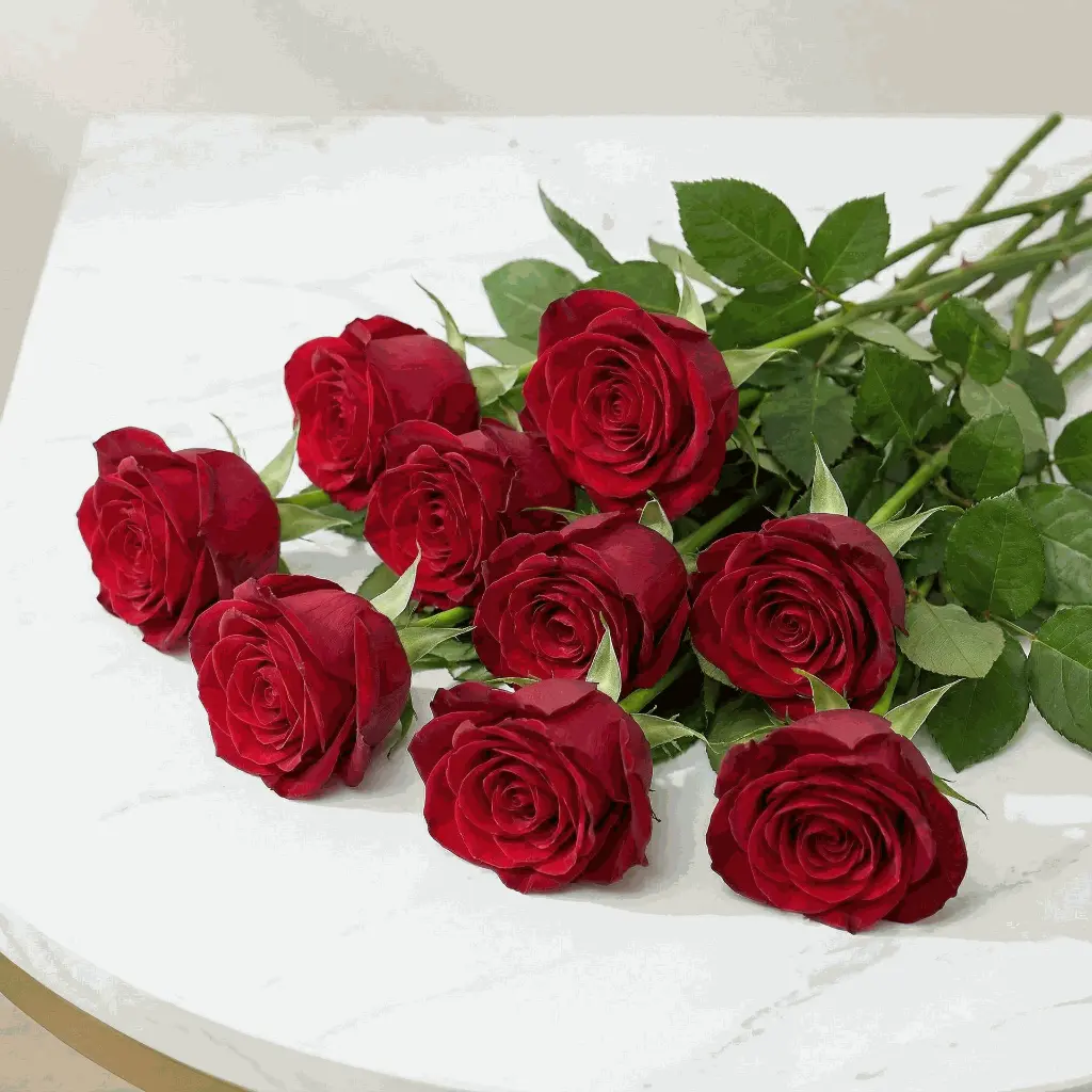 red_rose3.webp