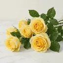 yellow_rose6.webp