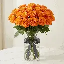 orange_rose3.webp