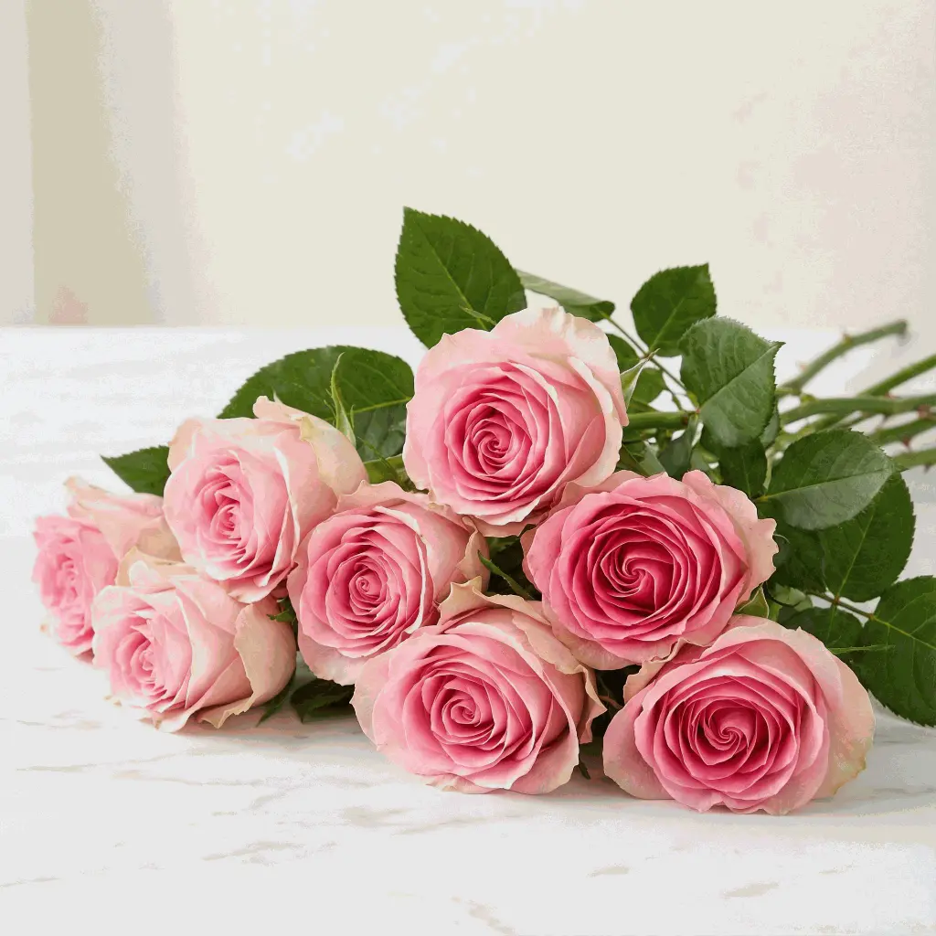 pink_rose4.webp