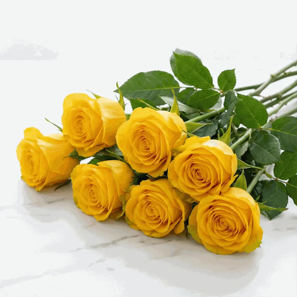 yellow_rose4.webp
