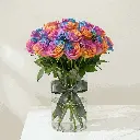 rainbow_rose1.webp