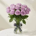 lilac_rose1.webp