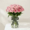 pink_rose1.webp