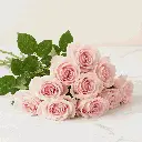 light_pink_rose2.webp