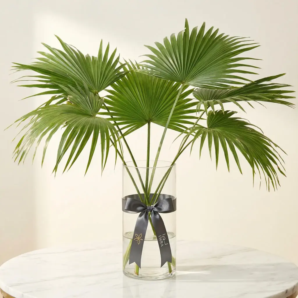 Livistona Rotundifolia