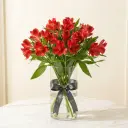 ALSTROMERIA الستروميريا