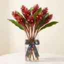 Alpenia Ginger Flowers Red
