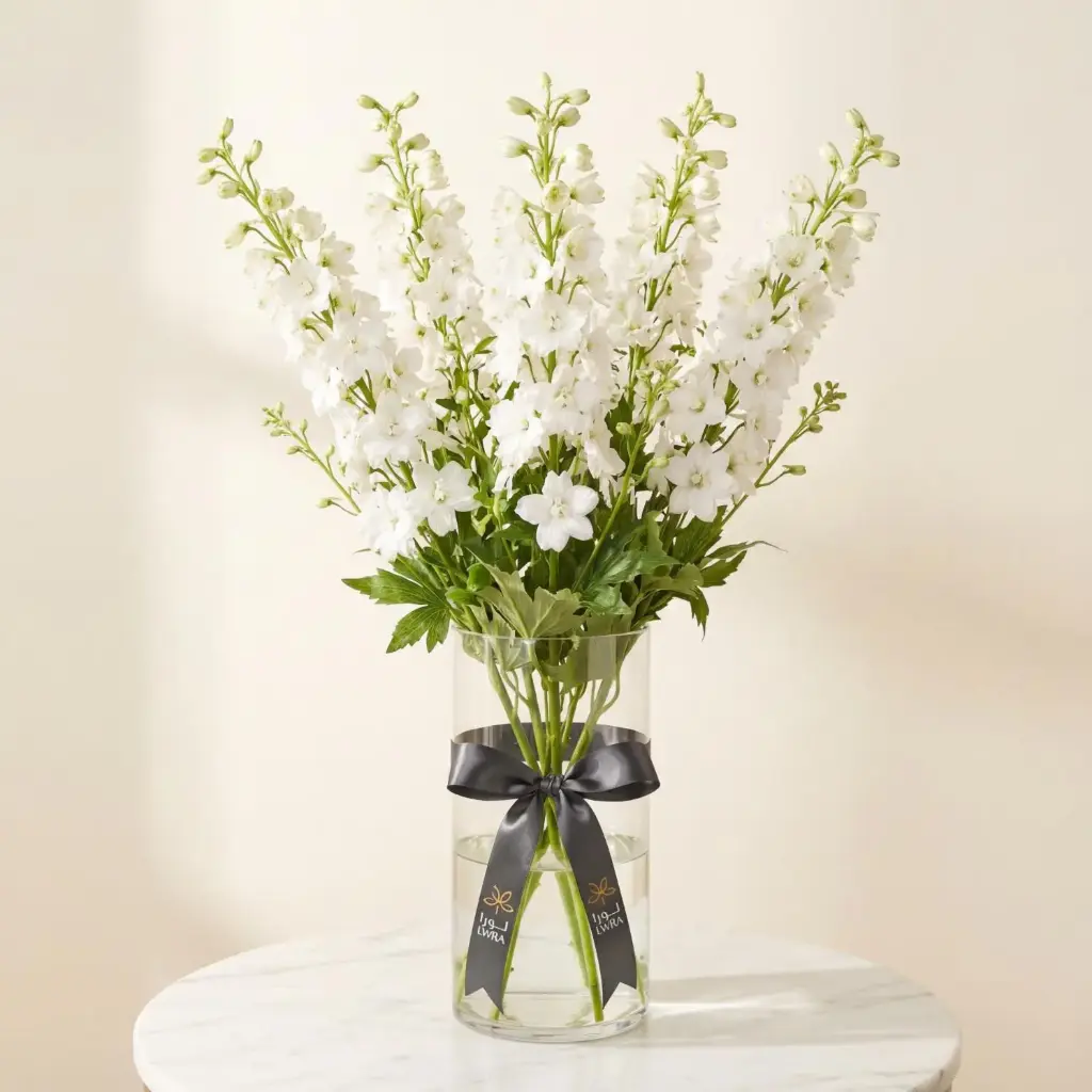 DELPHINIUM دلفينيوم