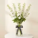 DELPHINIUM دلفينيوم