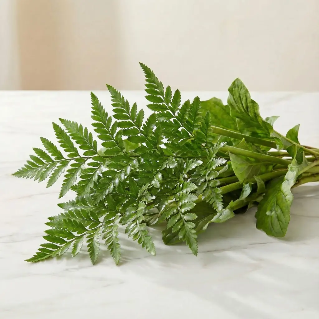 LEATHER LEAVES ليذر ليف