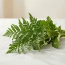 LEATHER LEAVES ليذر ليف