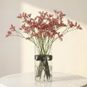 LIMONIUM ليمونيوم
