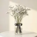 STATICE ستاتيس