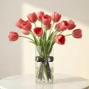 TULIP توليب