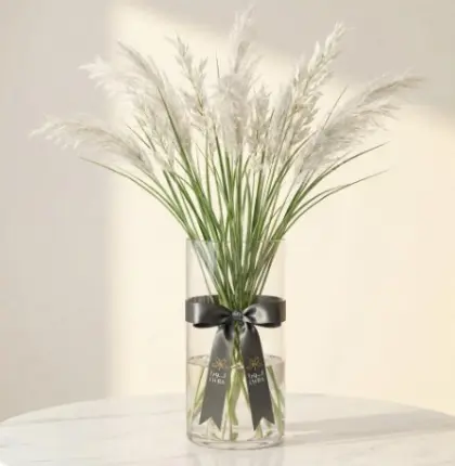 PAMBAS GRASS بامباس 