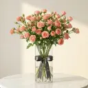 BABY ROSE بيبي جوري