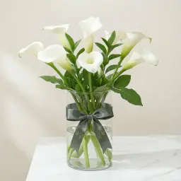 CALLA LILLIES كالا 