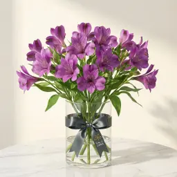 ALSTROMERIA الستروميريا