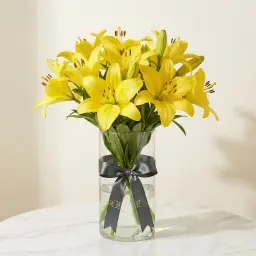 ASIATIC LILIES ليليوم