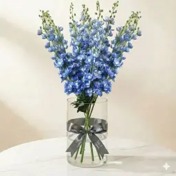 DELPHINIUM دلفينيوم