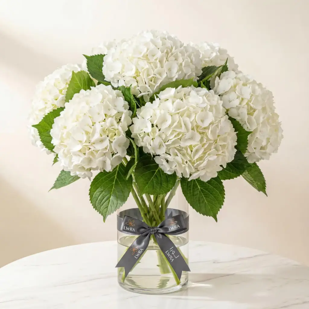 HYDRANGEAS هيدرنجا