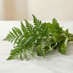 LEATHER LEAVES ليذر ليف