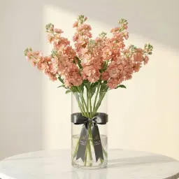MATTHIOLA